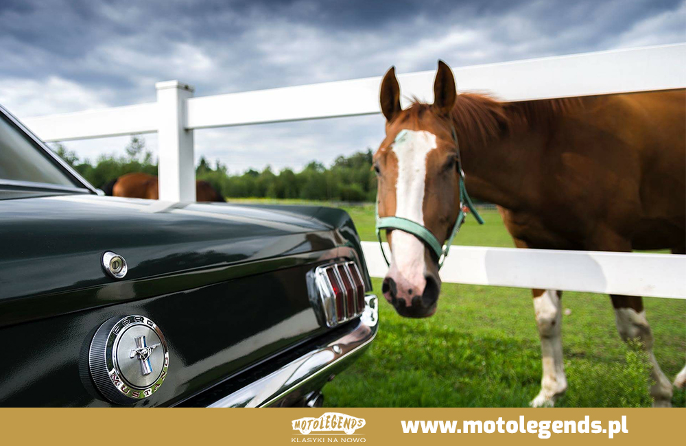 Ford Mustang 1966 - Motolegends